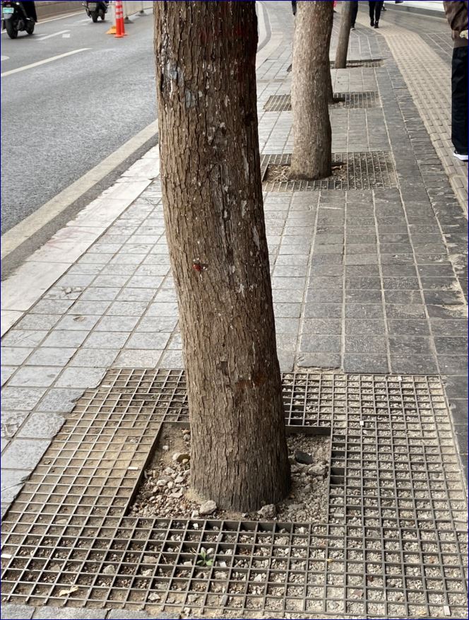 ͺçͧͺ⤹ fiberglass Tree Guard Grating Paver Frame Cover