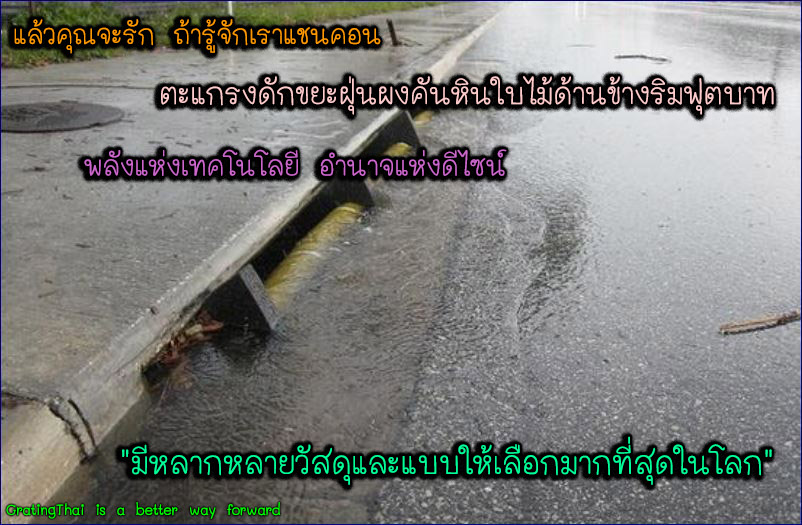 ตะแกรงดักแยกขยะคันหินข้างริมฟุตบาท curbed drain grates