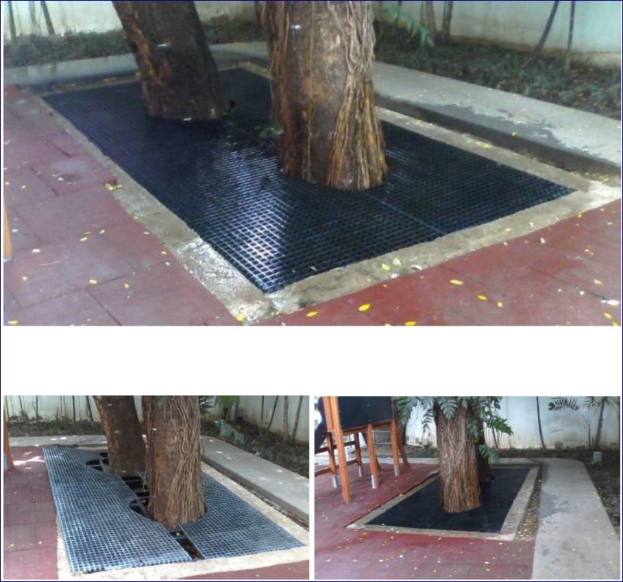 แผ่นพื้นทางเดินยกระดับฝาตะแกรงไฟเบอร์กล๊าสปิดปกป้องรอบโคนต้นไม้ FRP Fibreglass Plastic Tree Safe guard Grating